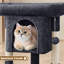 Arbre à chat à deux niveaux avec condo 23,5 po Brympton-778662695