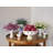 Eva Ceramic Decorative Bowl