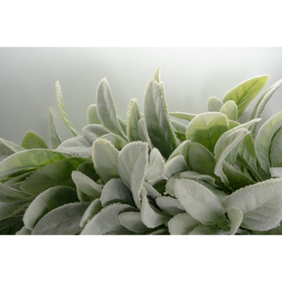 20" Faux Lamb's Ear Wreath