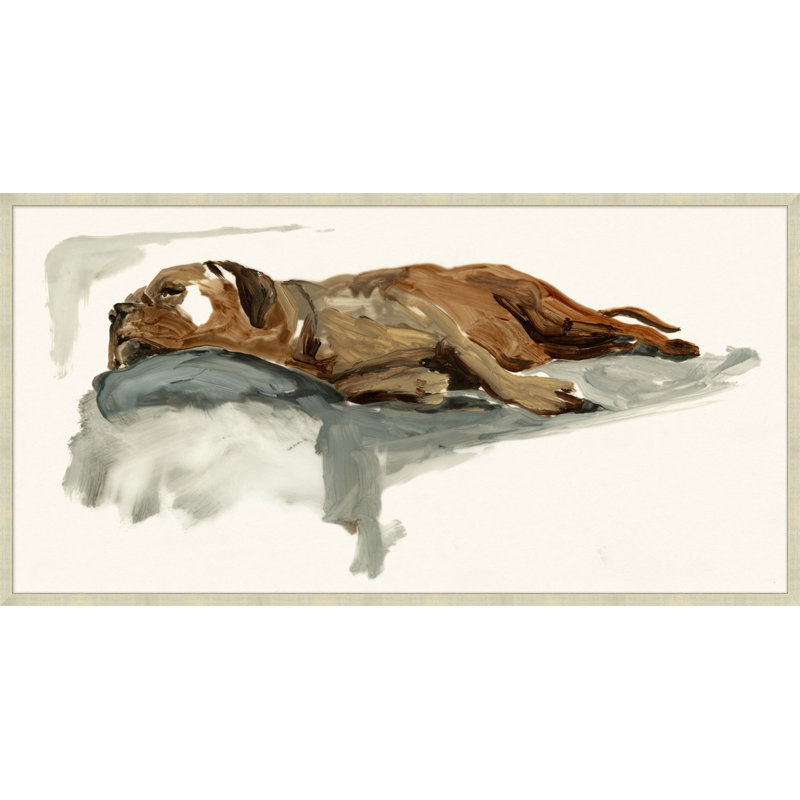 Couch Surfer Framed Print