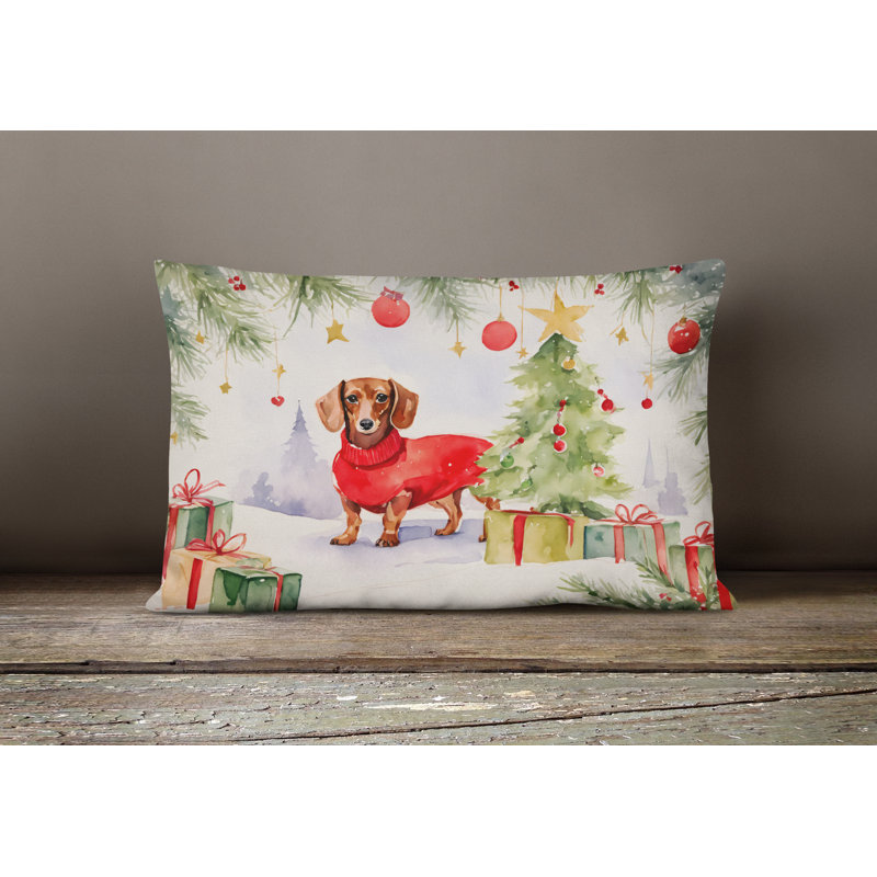 Other/No Pattern Outdoor Throw Pillow