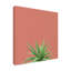 Décoration murale d'extérieur Succulent Simplicity I Coral-203969011