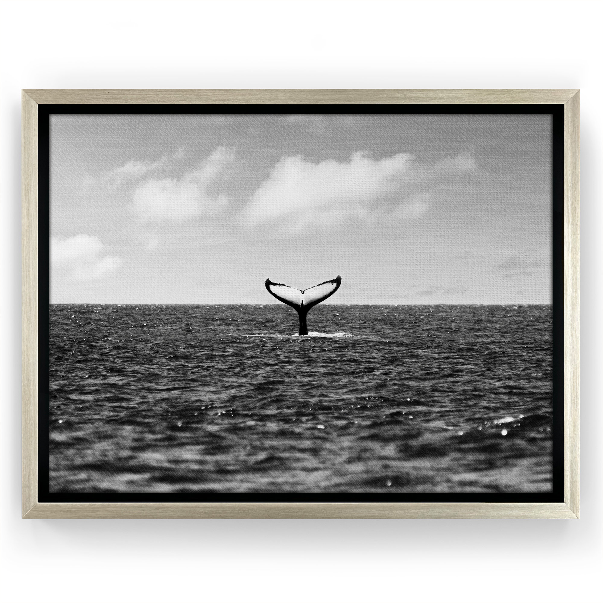 Whale Tale - 8x8 Framed