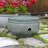 Container Hose Pot-3133956