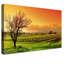Vineyard - Wrapped Canvas Print-239930014-239930006