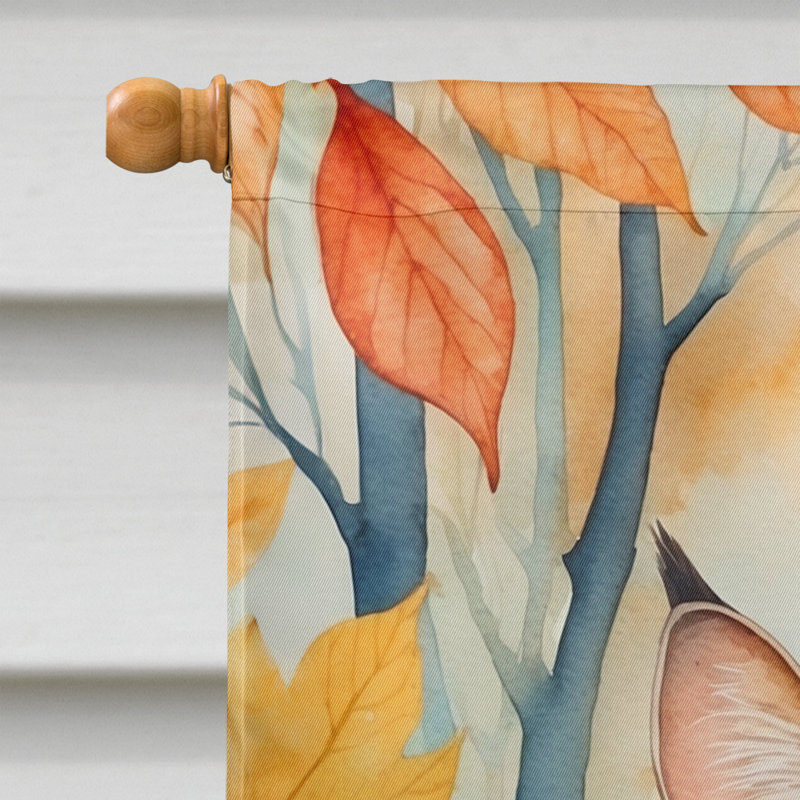 Chat en feuilles d'automne, Sokoke
