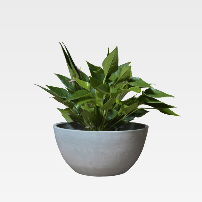 Pot Planter, 9.8" H x 4.7" W x 8" D