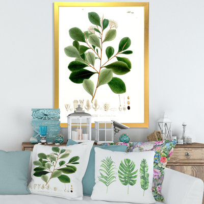 Vintage Botanicals IV - peinture sur toile