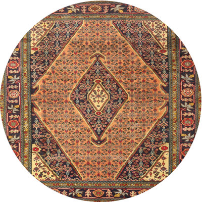 Oriental Indoor Rug