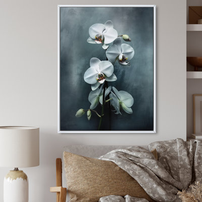 " White Black Exotic Orchids II "