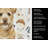 Wheaten Norfolk Terrier Coffee Bar Kitchen Towel-1168063272