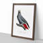 The Grey Parrot by F. Levaillant - Picture Frame Painting Print-55611598-55611604