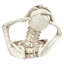 Statue Shriek, the Skeleton-23667818