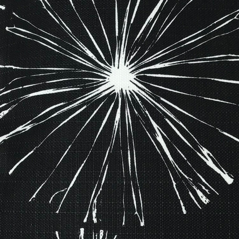 Coussin intérieur / extérieur Sparks Sparks, 18 po x 18 po, Noir