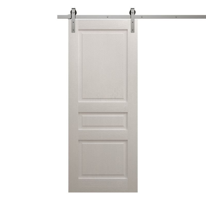 Porte de grange moderne | Ego 5012 | Ensemble de quincaillerie lourde Silver Rail Track | Portes intérieures solides