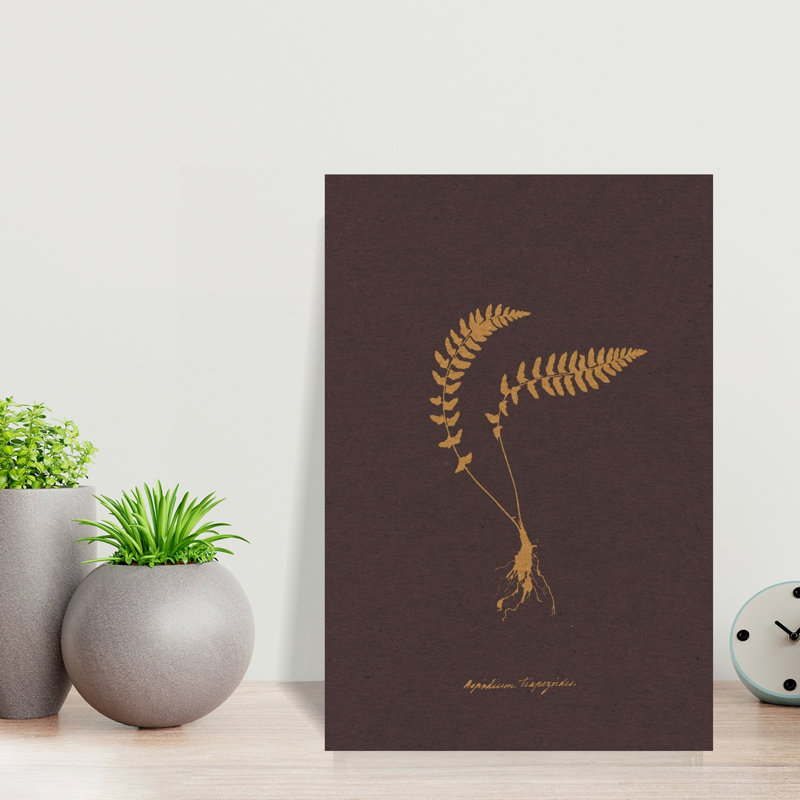 Print, 45.72cm H x 30.48cm W