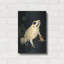 Lark Manor ™ «Golden Poison - Dart» par Barbara Keith, art mural en métal-1851973298