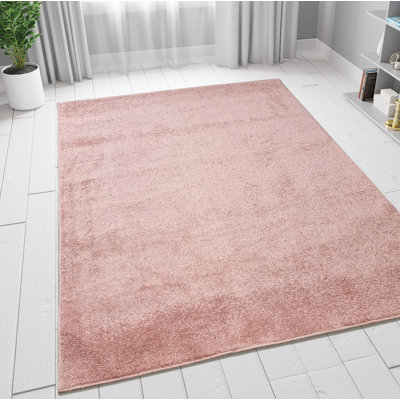 Riggall Solid Colour Area Rug