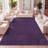 Athaniel Solid Low-Pile Purple Rug-557531668