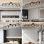 Aleckzander Chandelier