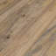 Eray Cocktail Coffee Table, 42 Inch Round Drum Shape, Brown Mango Wood