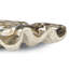 Clam Bowl Large (Ambered Silver Leaf)