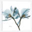 «Orchid», reproduction d'impression sur toile-29686476-74386312-74386307