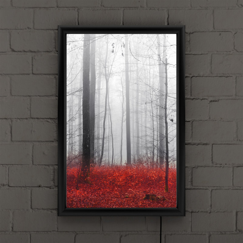 « Little Red Carpet » par Philippe Sainte-laudy-reproduction d’art sur cadre en acrylique