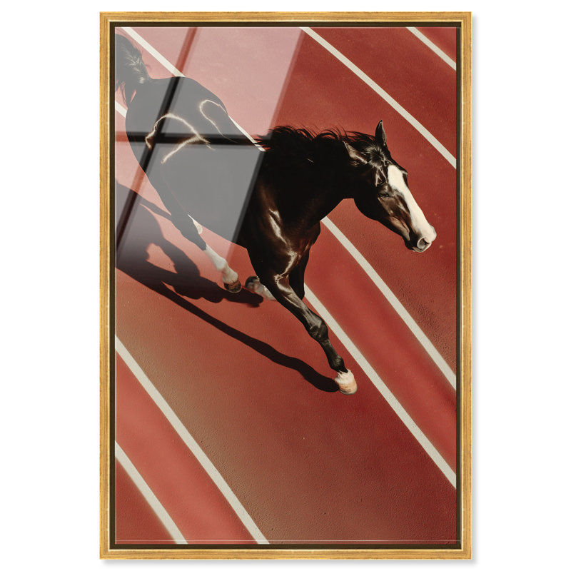 Velocity Vector Print, 37"H x 25"W, Gold Floater Frame