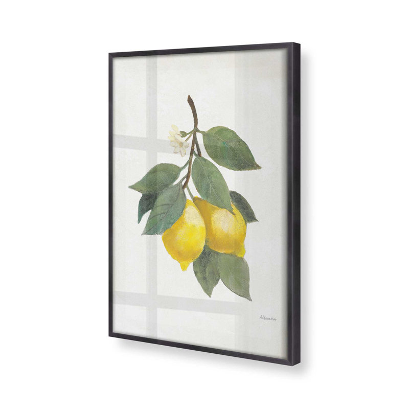 «Lemon Harvest I», Cadre en zinc patiné, H 37,25 po x l 37,25 po