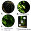 Emerald Escape, impression sur toile-145858533-145858530