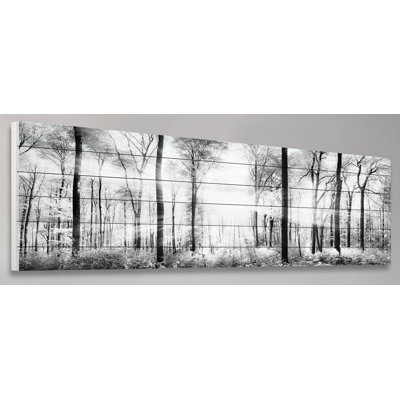 " Panoramic Forest " by Parvez Taj