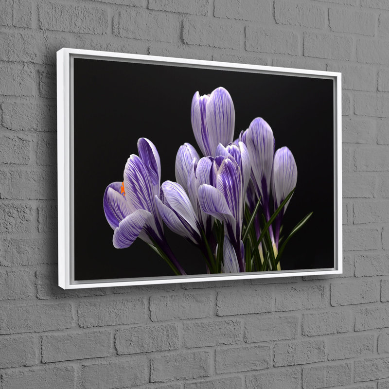Superbe art mural imprimé mauve Crocus, idéal pour un cadeau personnalisé avec une esthétique moderne sur toile encadrée