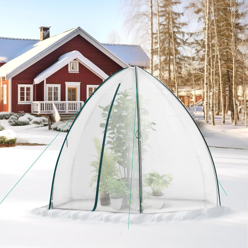 Ballal 8 Ft W x 6.5 Ft D Mini Greenhouse