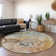 Premium Machine Washable Cerrito AMF500 Beige Rug