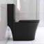 Toilette noire matte avec double chasse, 1,1 / 1,6, cuvette allongée pour salle de bain confort supplémentaire en noir, conception de pièce supplémentaire