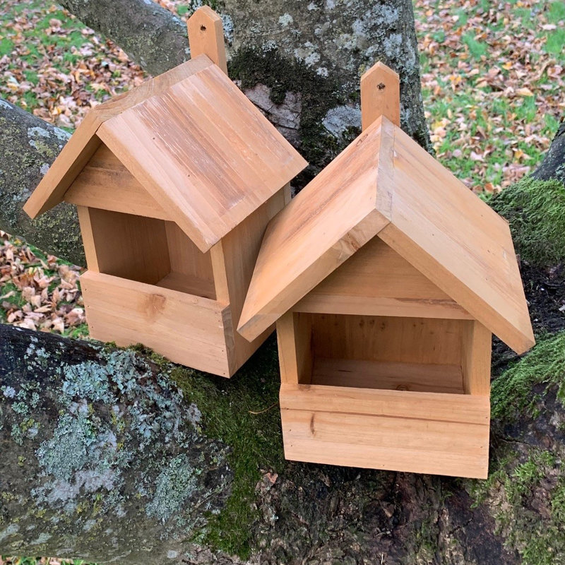 Large Wooden Robin Mounted Bird House