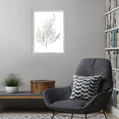 «Gray Algae II» par Jennifer Goldberger, reproduction d'art encadrée sur bois