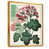 Toile avec cadre flottant or n'est pas disponible