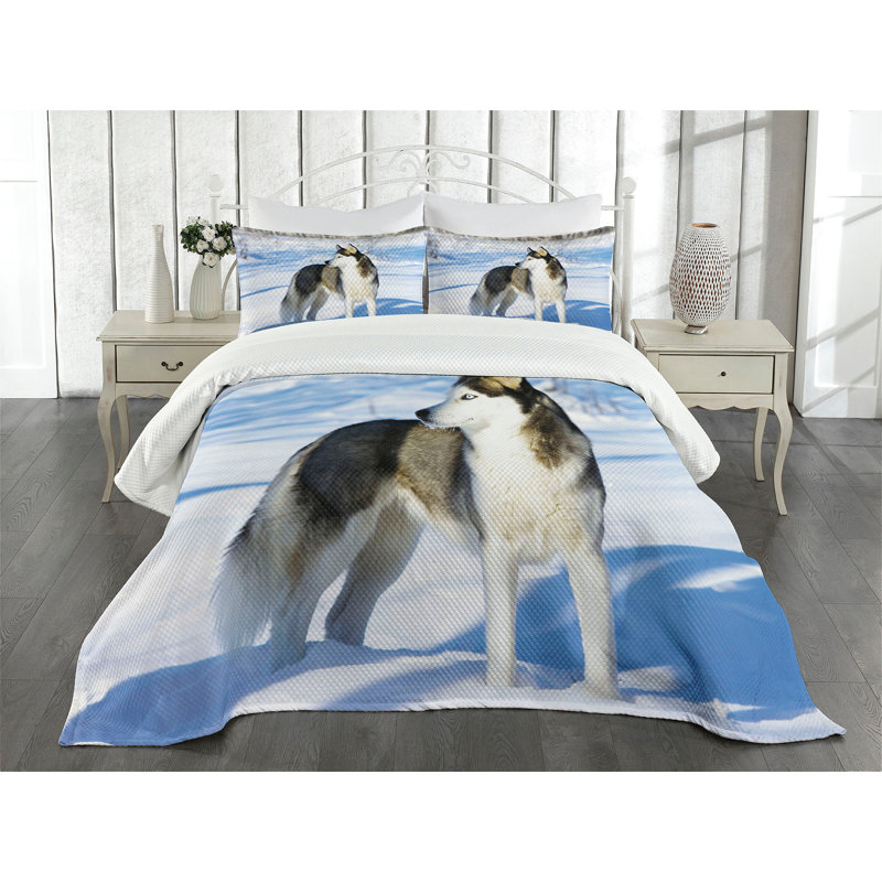 Queen Black Quilted Bedspread Set with Husky Design