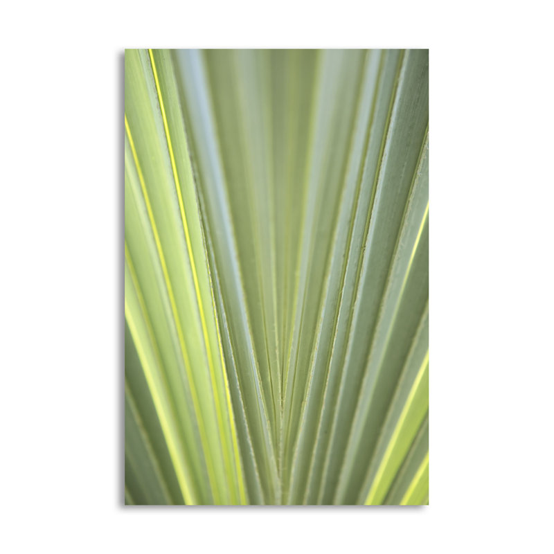 « tropical leaf reclose-up ii », reproduction de photo, H 36 po x l 24 po x P 0,01 po, Papier