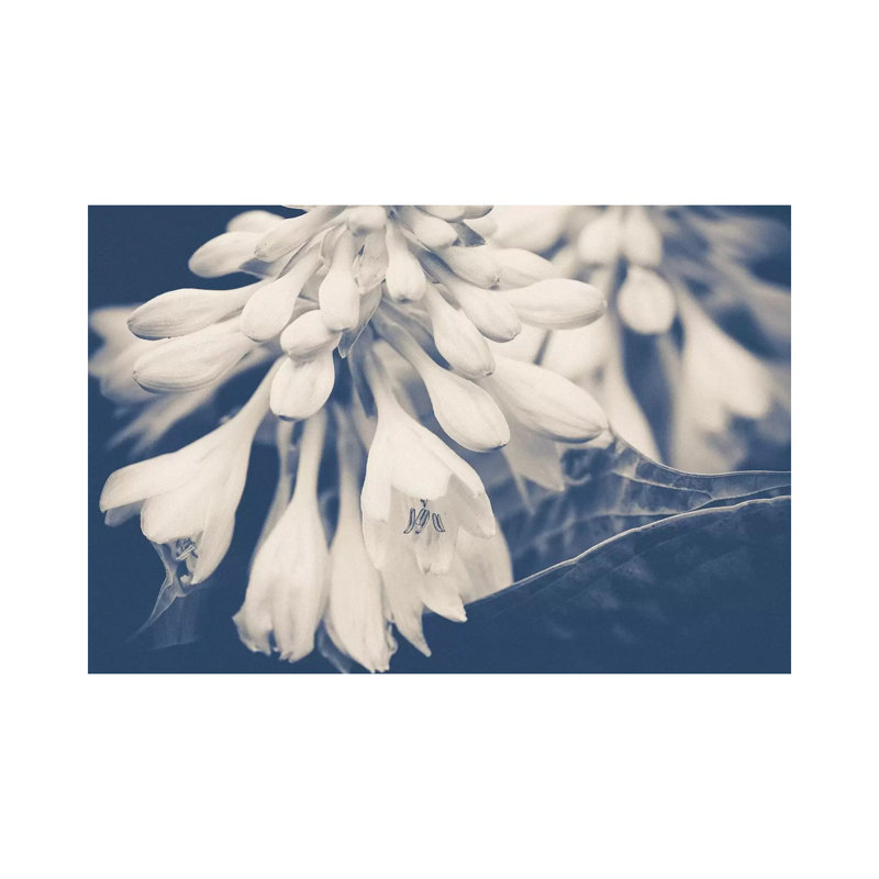 In The Morning by Olivia Joy StClaire - Wrapped Canvas Gallery-Wrapped Canvas Giclée, 66.04 cm H x 45.72 cm W x 1.91 cm D