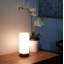Alasan Lamp