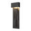 Collage Large Dark Sky Friendly LED Outdoor Flush Mount-17424808