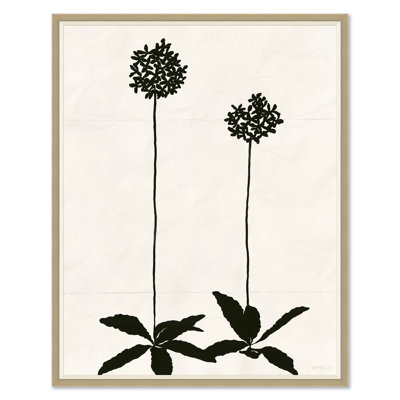 Allium (var. 2) Print by Susan Hable