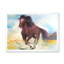Cheval brun galopant - peinture sur toile-67417836-67417830