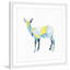 «Geo Animal II», reproduction encadrée-88364784