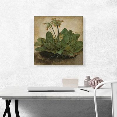 " Tuft Of Cowslips " by Albrecht Dürer Painting Print
