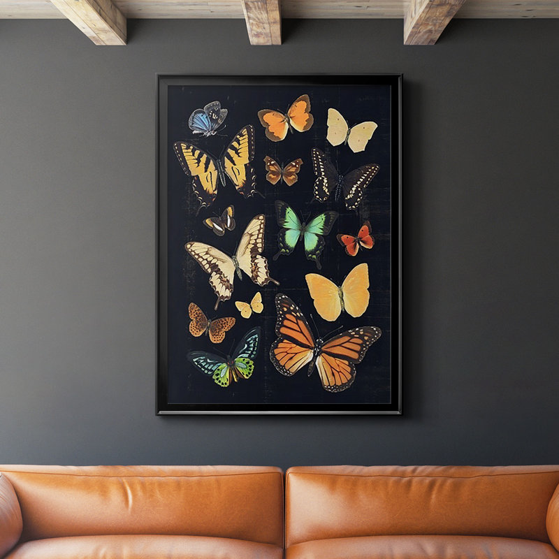 " Collected Flutter III ", Black, 24.5" H x 18.5" W x 1" D
