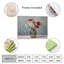 Poppy Bouquet, cadre en bois encastré, art mural, 16 x 20